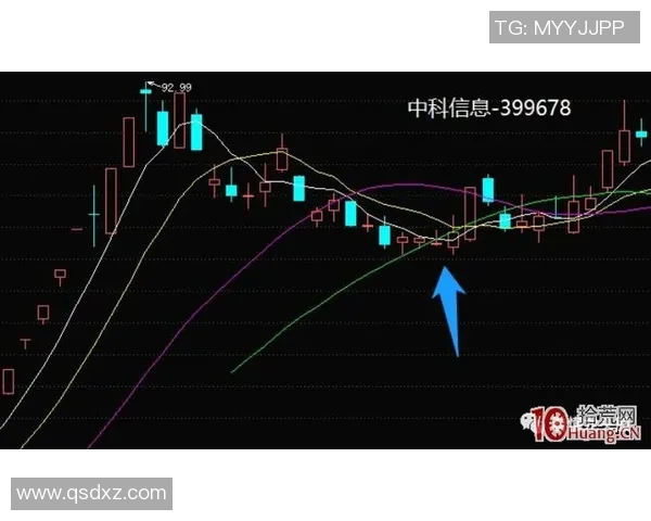 武汉排球队与上海排球队赛后复盘分析灵活性对抗与战术运用的深度探讨