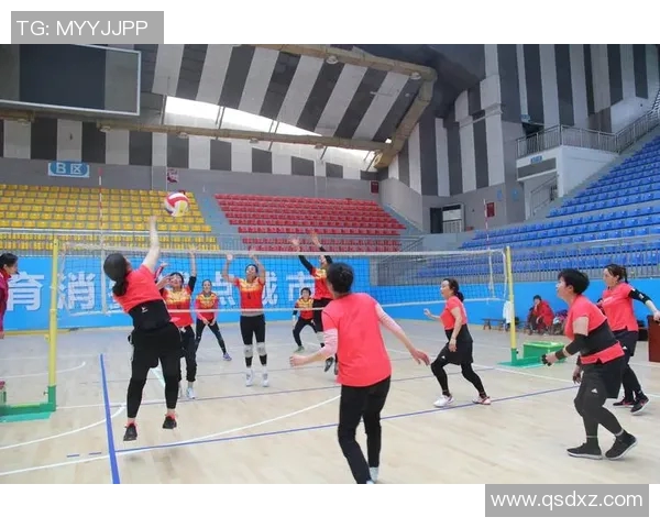 陈敏专访:追忆排球生涯的辉煌与挑战