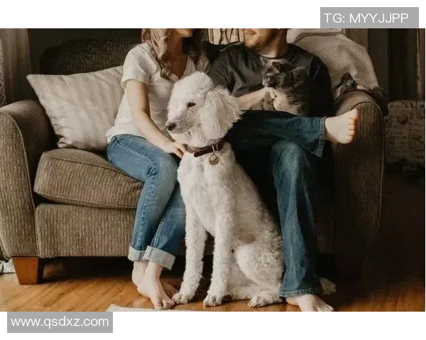 热爱足球与狗狗的明星球员们的感人故事与生活点滴