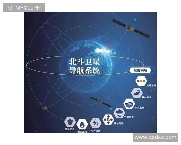 南京网球队实力深度解析与对比分析报告