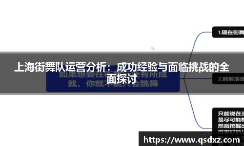 上海街舞队运营分析：成功经验与面临挑战的全面探讨