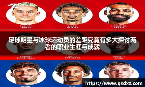 足球明星与冰球运动员的差距究竟有多大探讨两者的职业生涯与成就